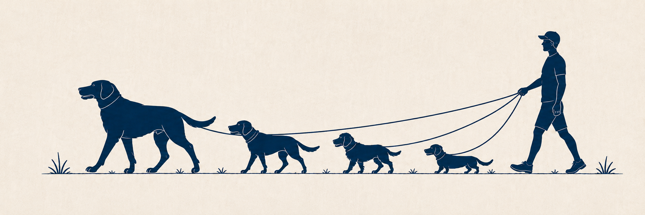 Illustration of Noah walking four dogs